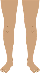 legs.webp